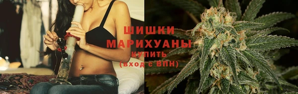 шишки Лиски