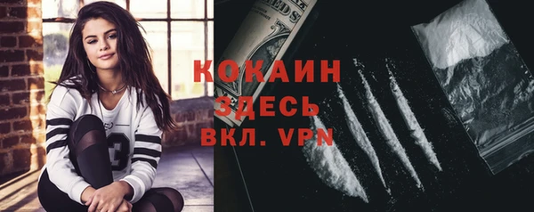 шишки Лиски