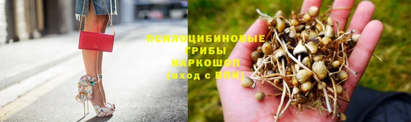 шишки Лиски