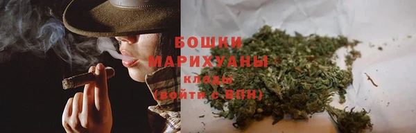 шишки Лиски