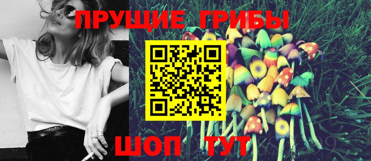 Псилоцибиновые грибы мицелий Дубна