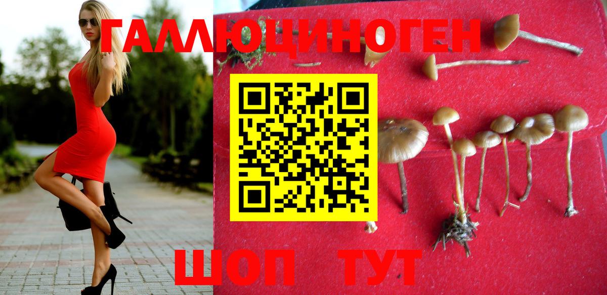 Галлюциногенные грибы MAGIC MUSHROOMS Дубна