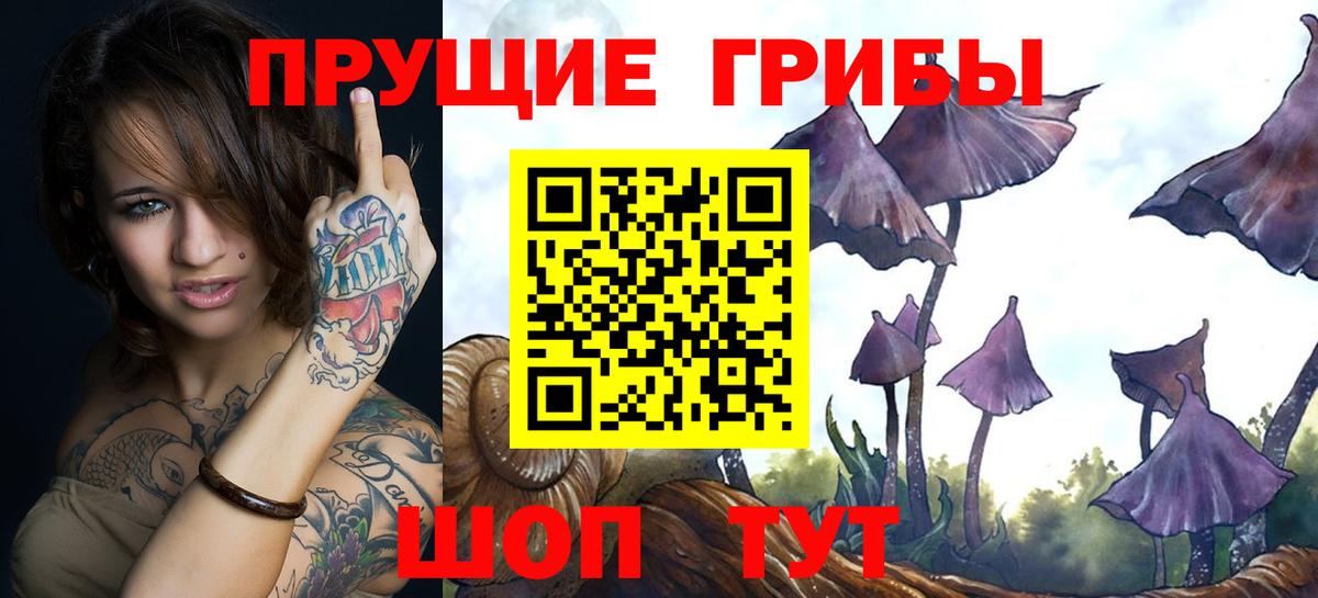 Дубна  наркотики  Вход с VPN  Галлюциногенные грибы мицелий 