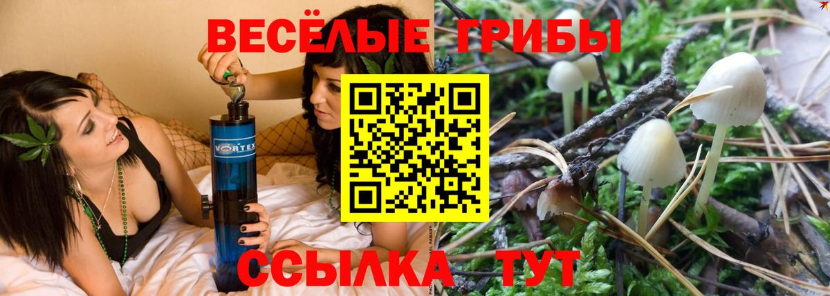 APVP Дубна