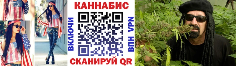 Каннабис сатива  Дубна 